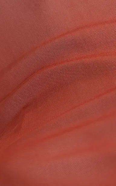 Bond-Eye Tessa Mesh Top | Thumbnail 5
