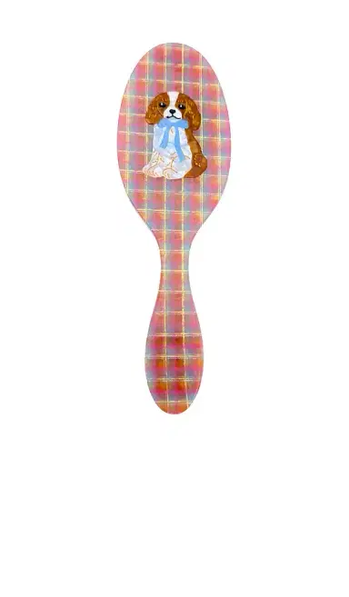 Solar Eclipse Hand-painted King Charles Amazing Hair Day Brush | Thumbnail 1 Solar Eclipse Hand-painted King Charles Amazing Hair Day Brush | Thumbnail 1