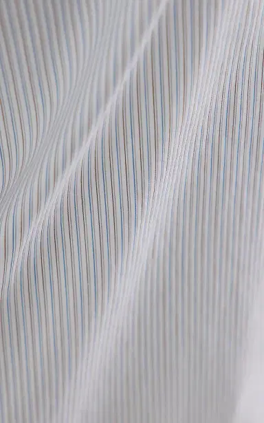 The Row Gavina Cotton Poplin Shirt | Thumbnail 5