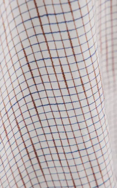 The Row Dalan Checked Cotton Shirt | Thumbnail 5