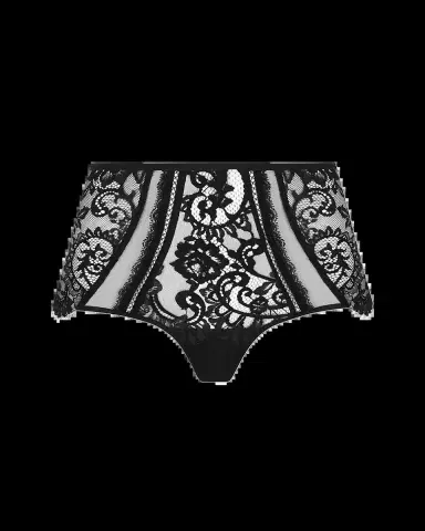 Lise Charmel Desirs De Venise Lace & Tulle Boyshorts | Thumbnail 2 Lise Charmel Desirs De Venise Lace & Tulle Boyshorts | Thumbnail 2