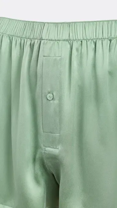 Lunya Washable Silk Boxers Garden Moss | Thumbnail 4