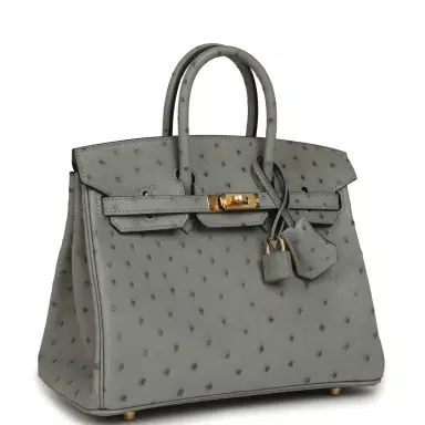 HERMÈS Hermes Birkin 25 Bleu Glacier Ostrich Gold Hardware | Thumbnail 2