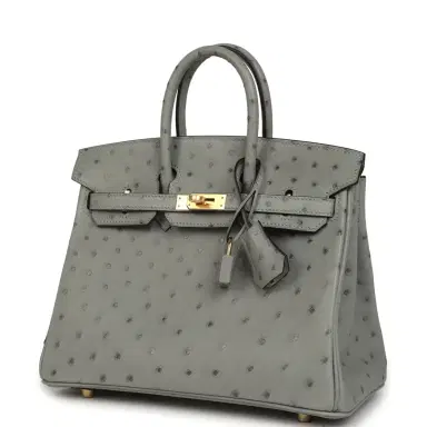 HERMÈS Hermes Birkin 25 Bleu Glacier Ostrich Gold Hardware | Thumbnail 5