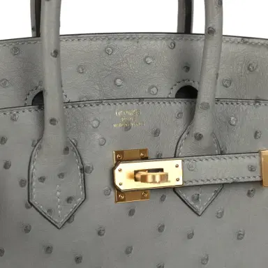 HERMÈS Hermes Birkin 25 Bleu Glacier Ostrich Gold Hardware | Thumbnail 7
