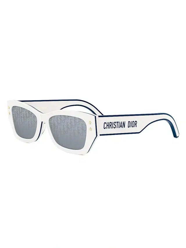 Dior Women's Pacific S2U 53MM Butterfly Sunglasses -  Smoke