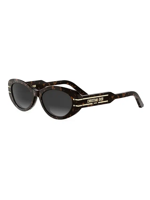 Dior Women's Signature B8U 53MM Butterfly Sunglasses - Dark Havana Gradient Smoke