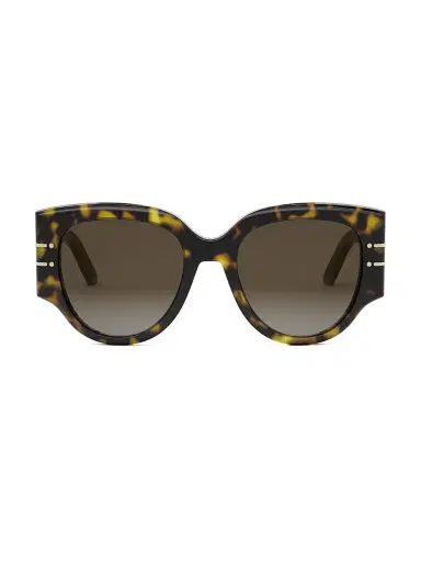 Dior Women's Signature R2I 53MM Butterfly Sunglasses - Tortoise Brown | Thumbnail 2