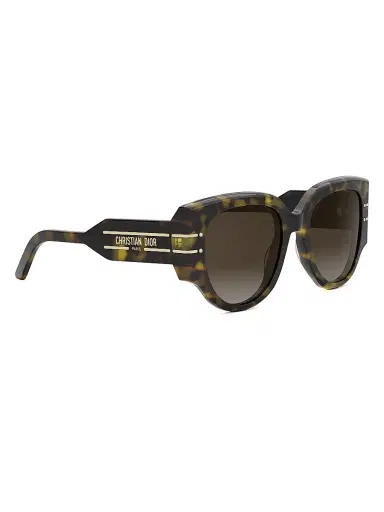 Dior Women's Signature R2I 53MM Butterfly Sunglasses - Tortoise Brown | Thumbnail 8