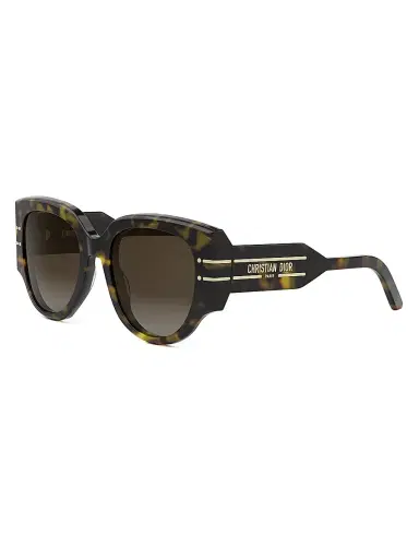 Dior Women's Signature R2I 53MM Butterfly Sunglasses - Tortoise Brown | Thumbnail 1