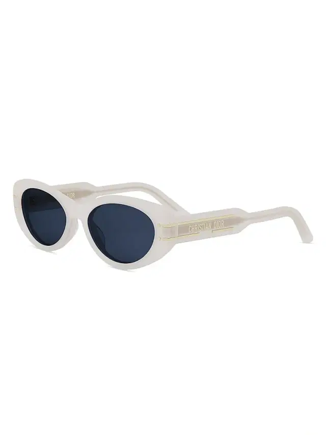 Dior Women's Signature B8U 53MM Butterfly Sunglasses - Blue