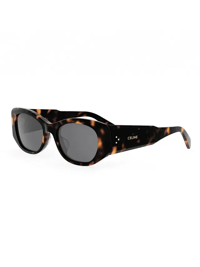 CELINE Women's Celine 3 Dots 54MM Rectangular Sunglasses - Dark Havana Smoke