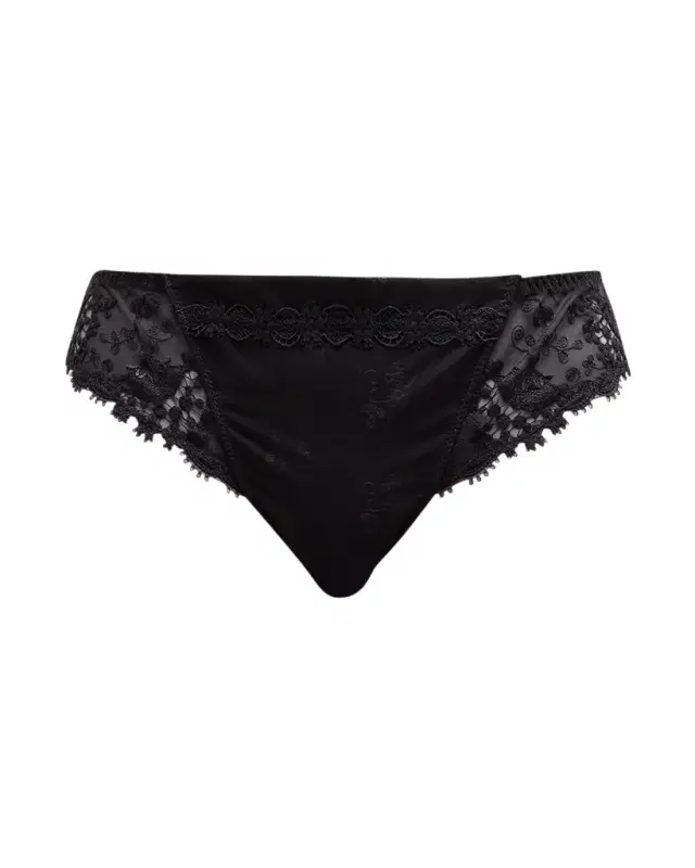 Wish Lace Mesh Tanga