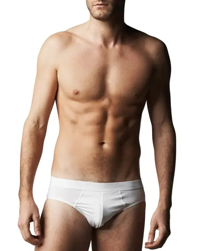 Hanro Micro-Touch Briefs