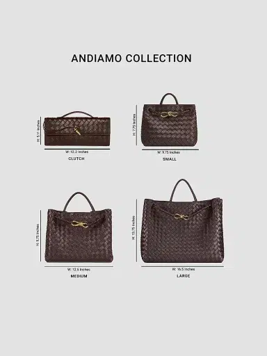 Bottega Veneta Women's Andiamo Small Intrecciato Leather Top-Handle Bag - Barolo | Thumbnail 8 Bottega Veneta Women's Andiamo Small Intrecciato Leather Top-Handle Bag - Barolo | Thumbnail 8