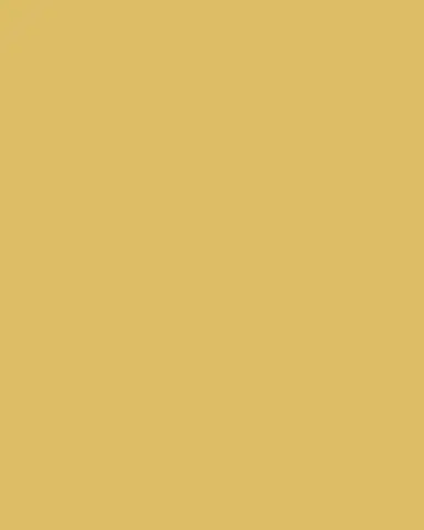 Bernardaud Ecume Gold Dinner Plate | Thumbnail 3