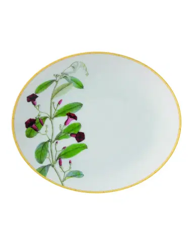 Bernardaud Jardin Indien Bread & Butter Plate | Thumbnail 2