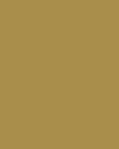 Bernardaud Ecume Gold Charger Plate | Thumbnail 3