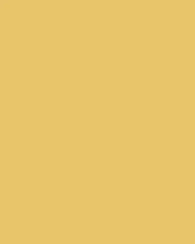 L 'Objet Perlee Saucer | Thumbnail 3