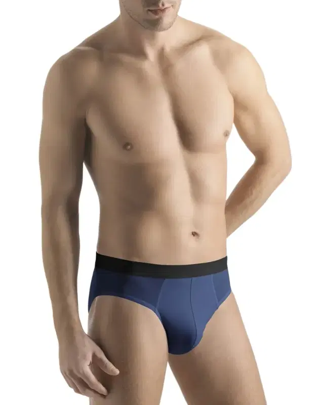 Hanro Micro-Touch Briefs