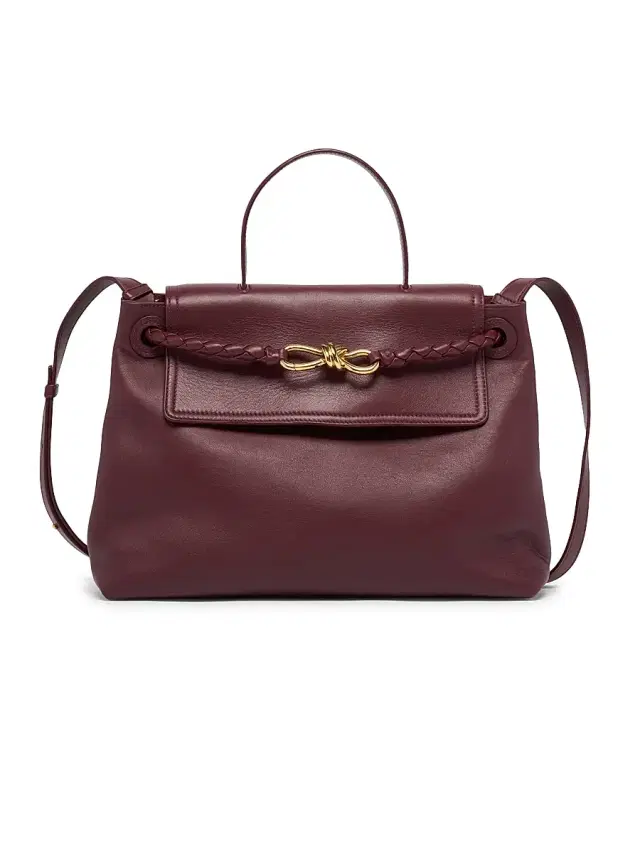 Bottega Veneta Women's Ciao Ciao  Leather Top Handle Bag - Barolo