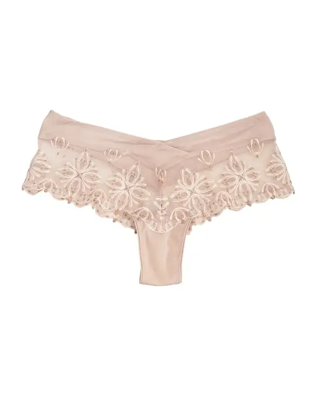 Champs Elysees Hipster Briefs