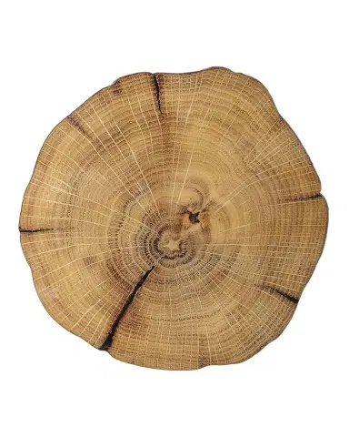 Kim Seybert Woodland Placemat | Thumbnail 1