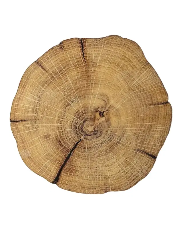 Kim Seybert Woodland Placemat
