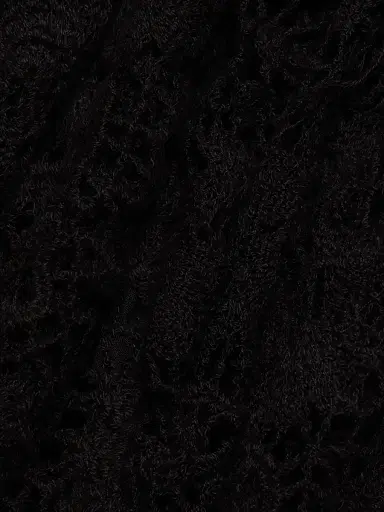Nili Lotan Women's Della Lace Maxi Dress - Black | Thumbnail 6