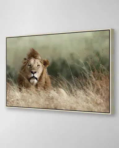 Prestige Arts "Your Majesty" Photography | Thumbnail 2