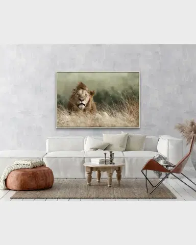 Prestige Arts "Your Majesty" Photography | Thumbnail 3