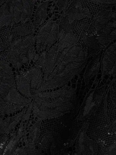 Rabanne Cropped Scalloped Stretch-lace Top | Thumbnail 4