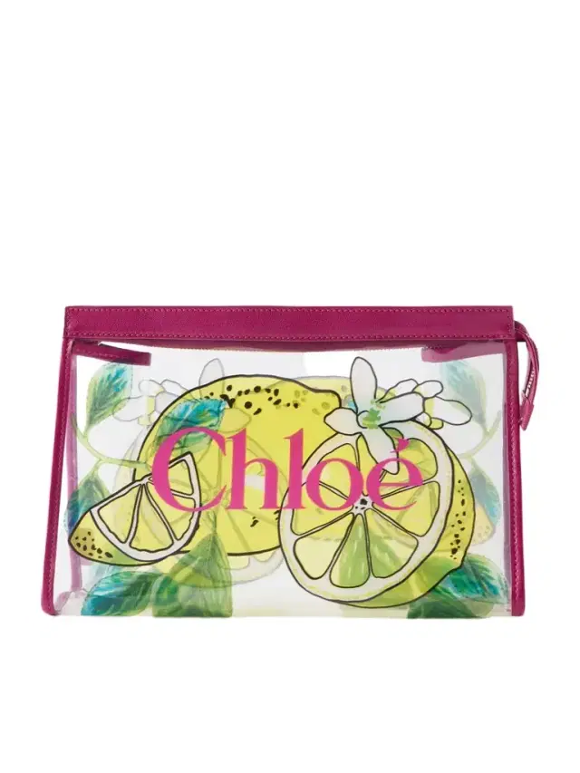 Chloé Printed Leather-trimmed Jelly Clutch