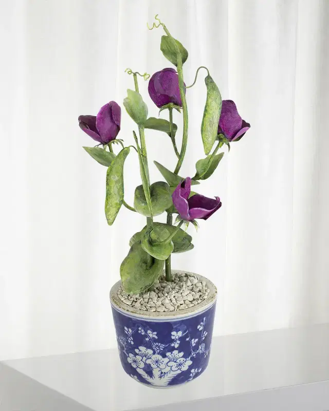 Tommy Mitchell Sweet Pea April Birth Flower in Ceramic Pot