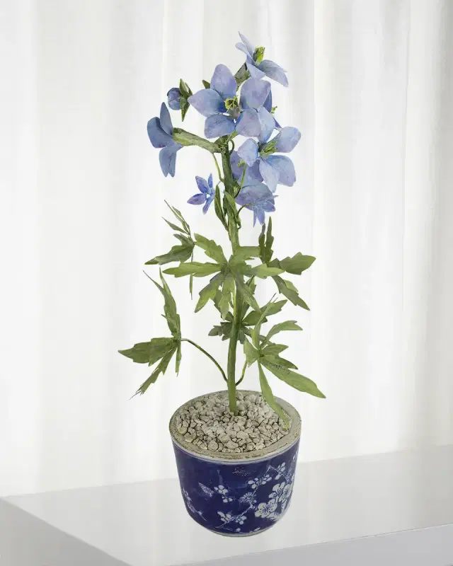 Tommy Mitchell Delphinium July Birth Flower in Ceramic Pot
