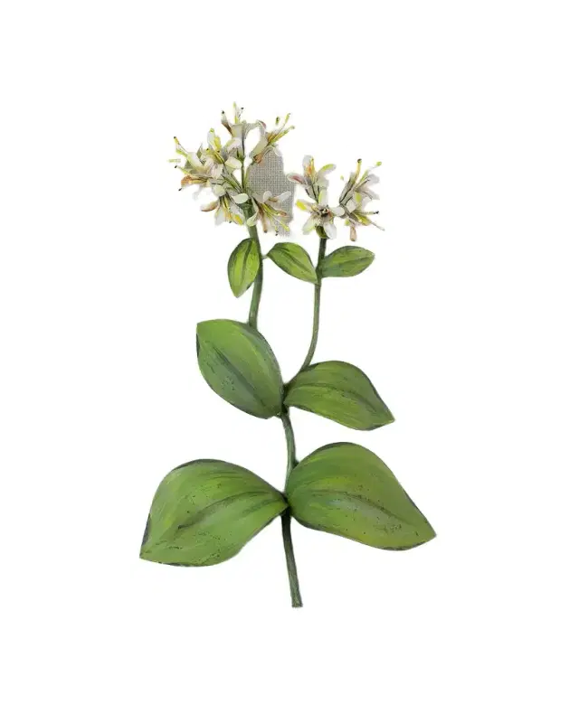 Tommy Mitchell Honeysuckle June Birth Flower Wall Art