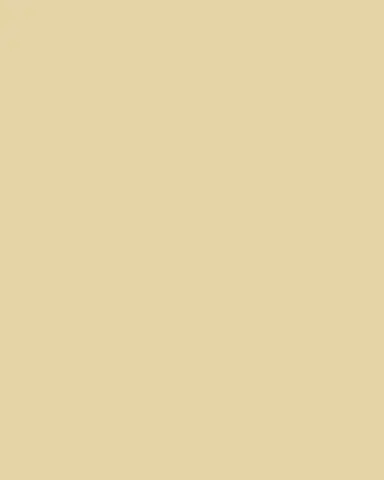 L 'Objet Braid 24K Gold-Plated Salt & Pepper Shakers, Set of 2 | Thumbnail 3