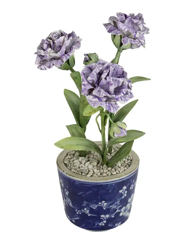 Tommy Mitchell Carnation January Birth Flower in Ceramic Pot
