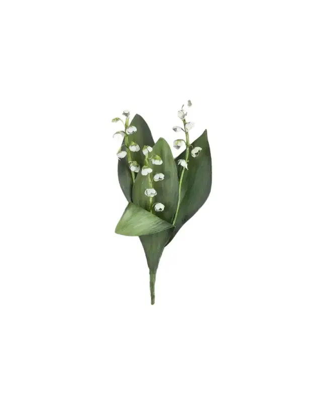 Tommy Mitchell Lily of the Valley May Birth Flower Wall Art