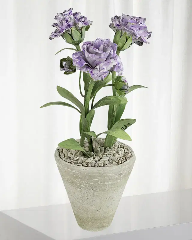 Tommy Mitchell Carnation January Birth Flower in White Terracotta Pot