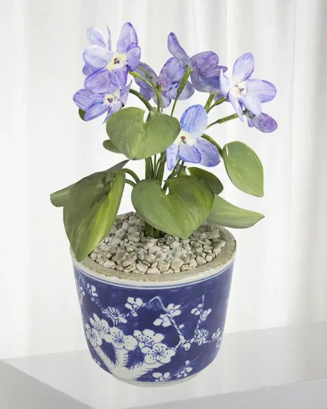 Tommy Mitchell Violet February Birth Flower in Ceramic Pot