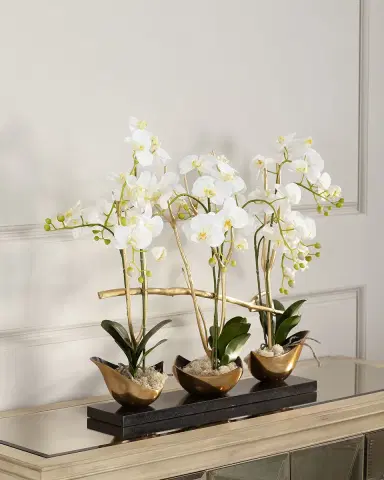 John-Richard Collection Silhouette Orchids II | Thumbnail 1 John-Richard Collection Silhouette Orchids II | Thumbnail 1