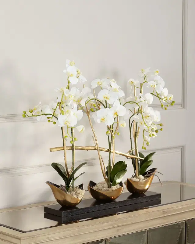 John-Richard Collection Silhouette Orchids II