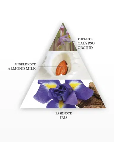 The Harmonist Yin Transformation Parfum, 1.7 oz. | Thumbnail 4