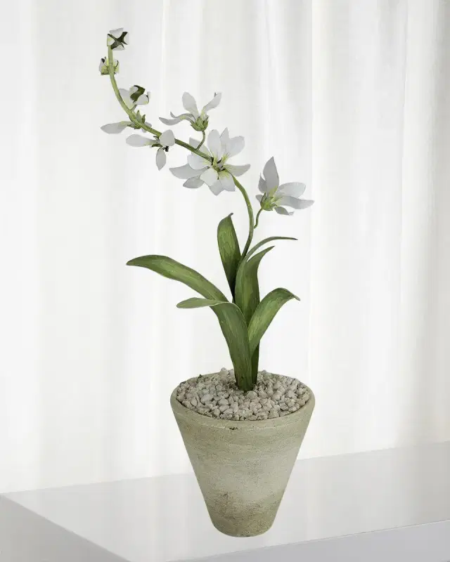 Tommy Mitchell Freesia March Birth Flower in White Terracotta Pot