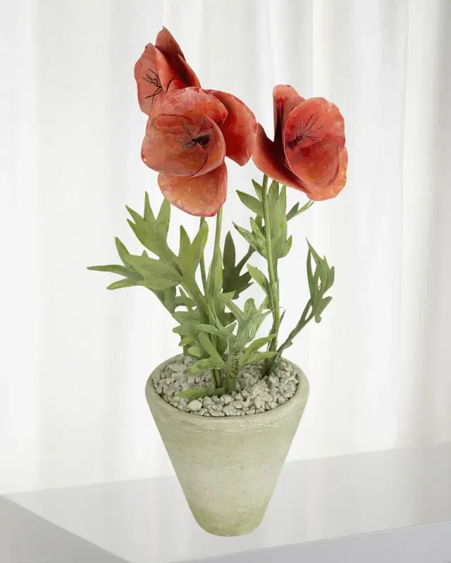 Tommy Mitchell Poppy August Birth Flower in White Terracotta Pot
