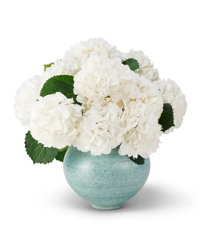 AERIN Calinda Moon Vase