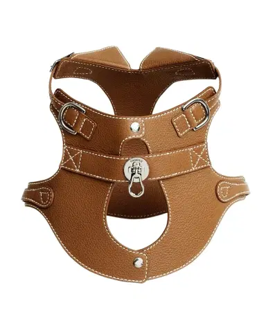 Pagerie The Colombo Dog Harness | Thumbnail 1 Pagerie The Colombo Dog Harness | Thumbnail 1