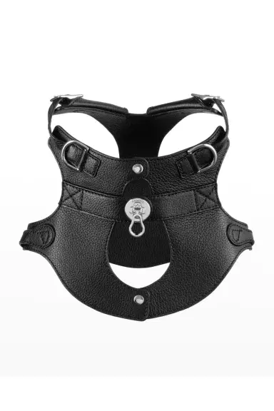 Pagerie The Colombo Dog Harness | Thumbnail 4 Pagerie The Colombo Dog Harness | Thumbnail 4