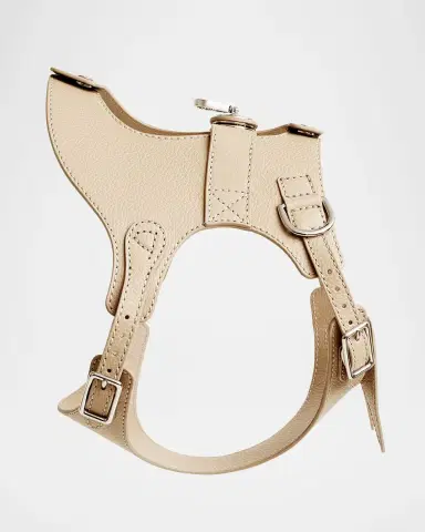 Pagerie The Colombo Dog Harness | Thumbnail 2